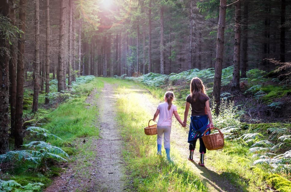 Girls mushroom picking